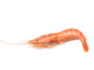 Argentinian red shrimp. Head on shell on. HOSO