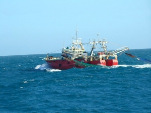 Factory beam trawlers Cabo Virgenes