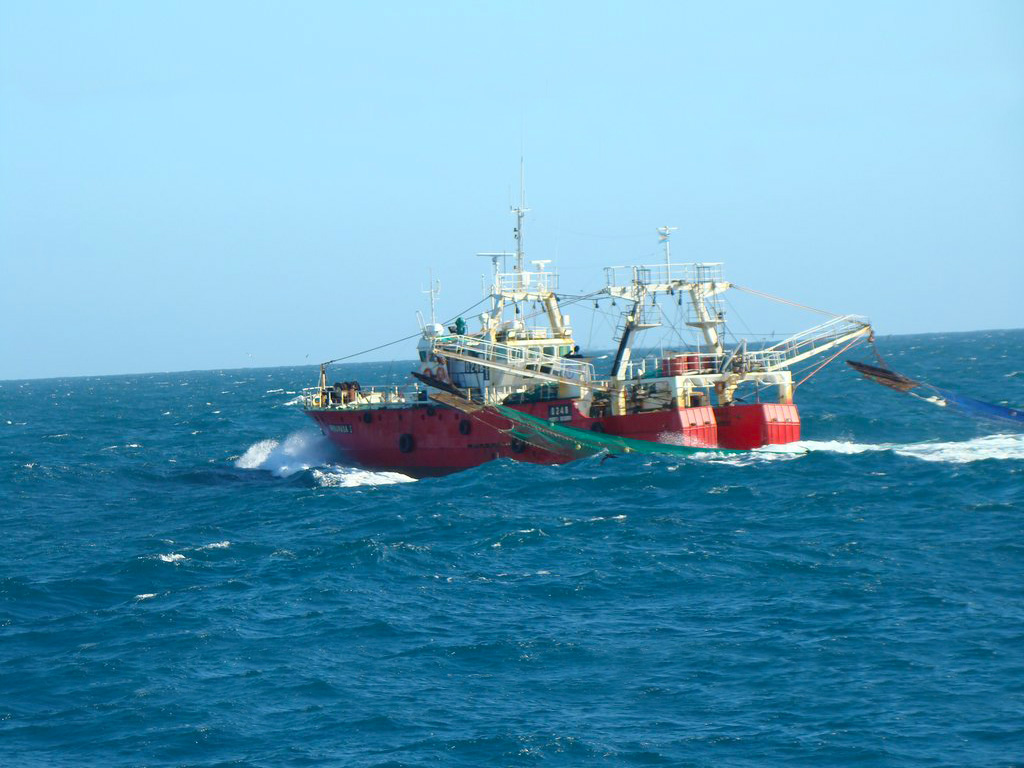 Nuestra flota de barcos congeladores.