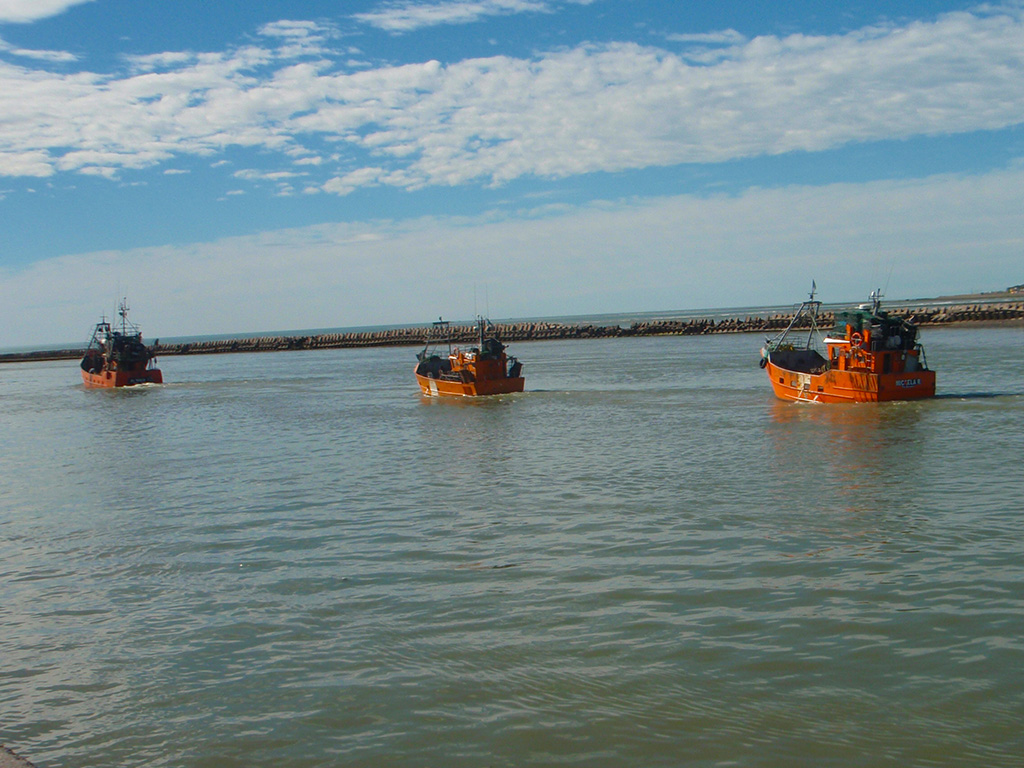 Barcos fresqueros saliendo a faenar