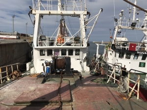 Factory beam trawlers