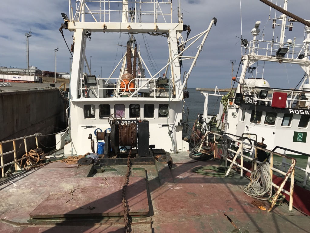 阿根廷渔船队 cabo virgenes