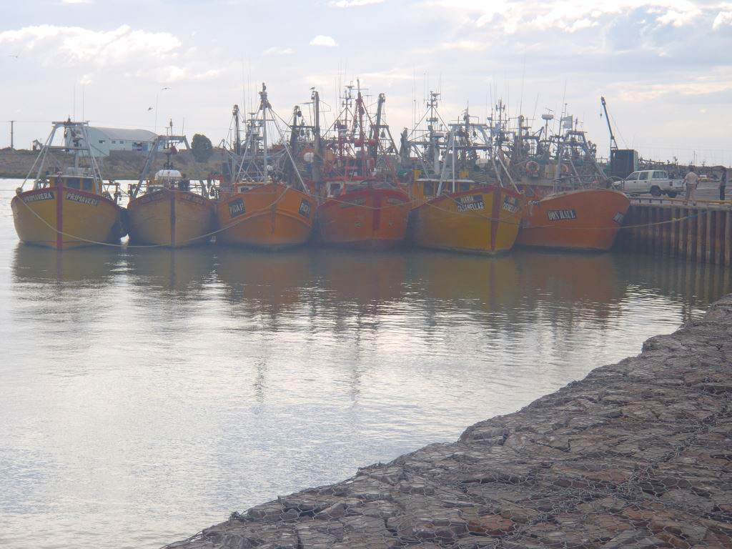 The yellow color of the coastal vessels