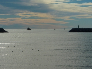 Nuestra flota: barco fresquero en el horizonte.