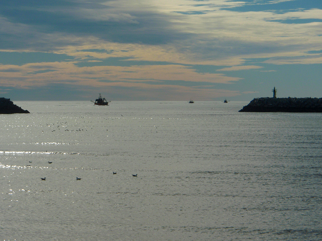 Vista de Rawson al atardecer.