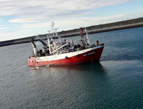 Nuestros barcos congeladores