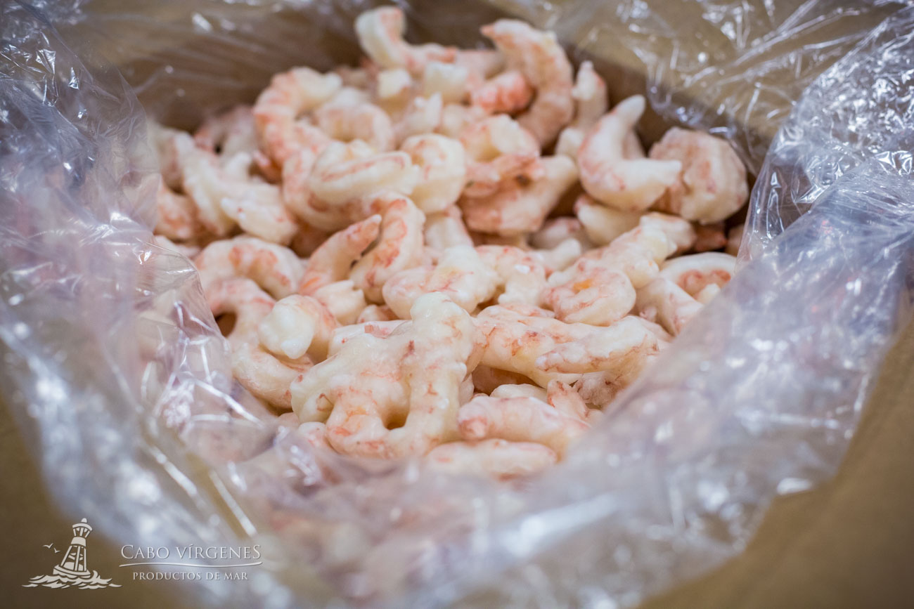 shrimp in bulk