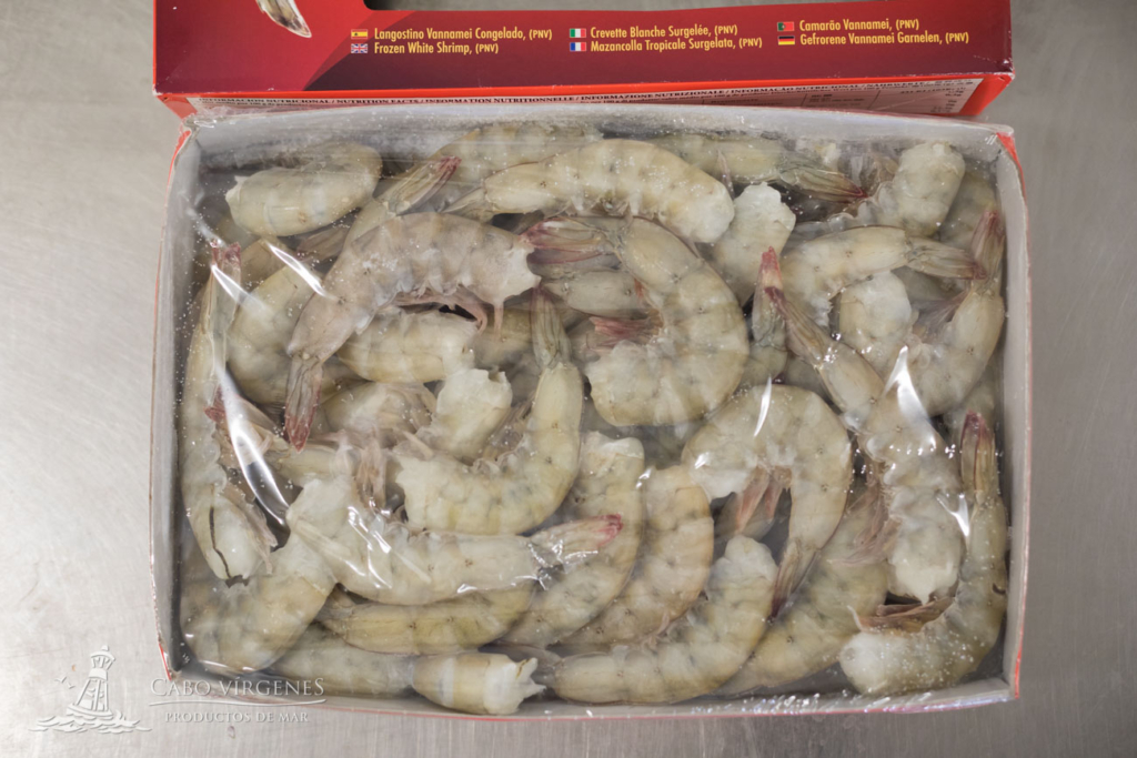 Whiteleg Shrimp Vannamei