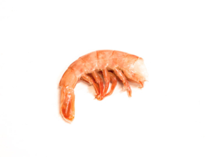 Cola de langostino