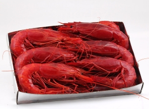 Carabineros