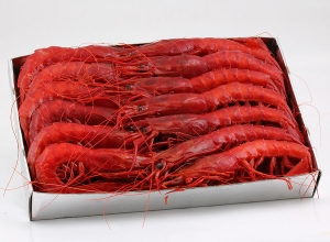 Carabineros