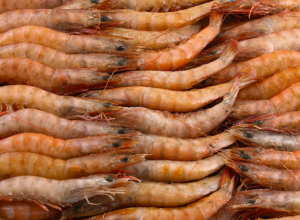 Langostino (diferentes orígenes)