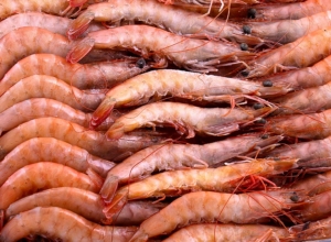 Langostino (diferentes orígenes)