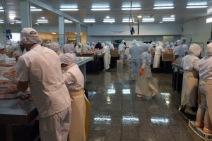 Sala di classificazione.