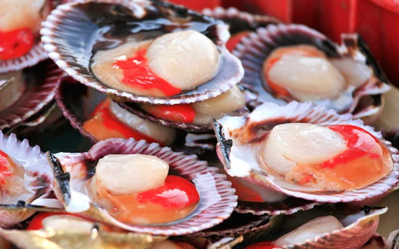 Deep-frozen peruvian scallop supplier in Canada