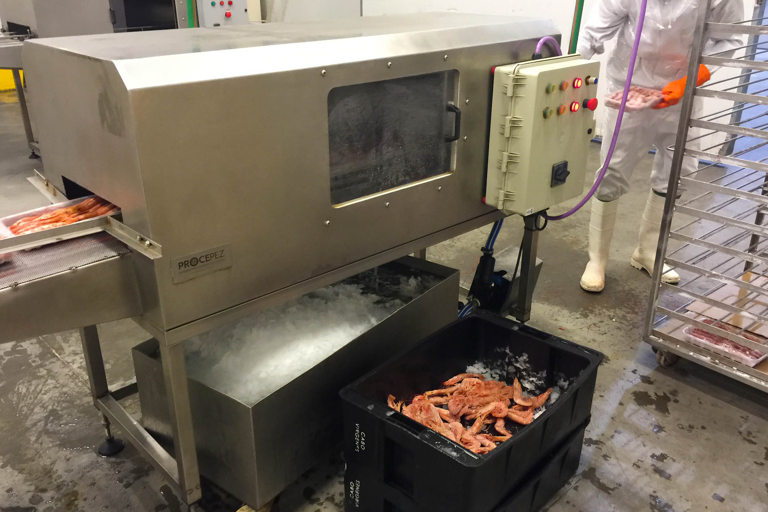 Rawson plant processing room