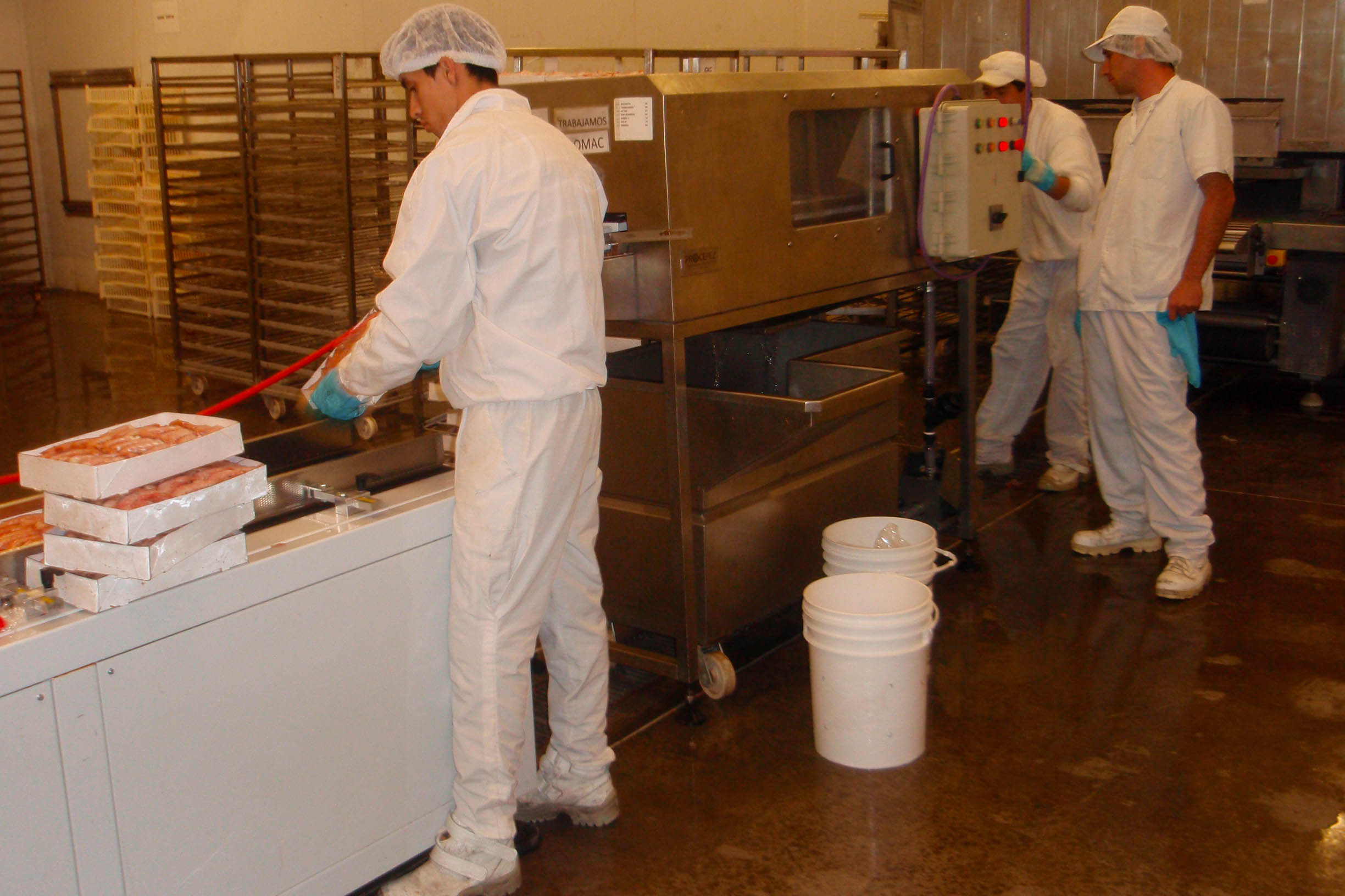 Rawson plant processing room