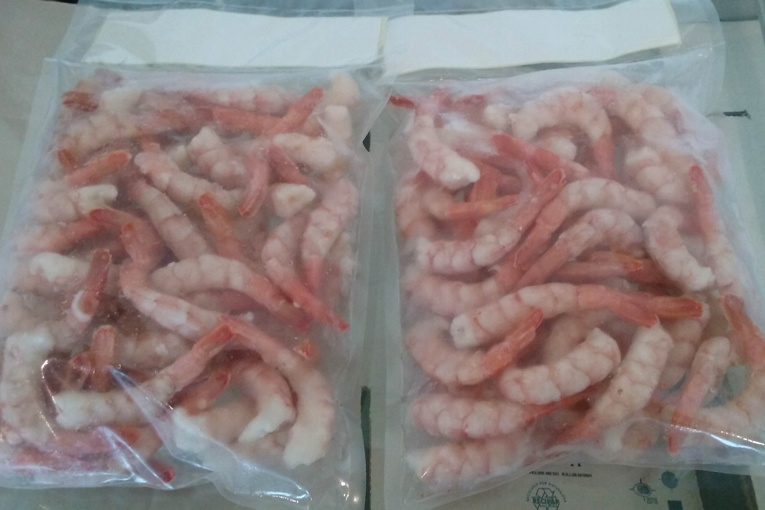 Rawson plant Red shrimp